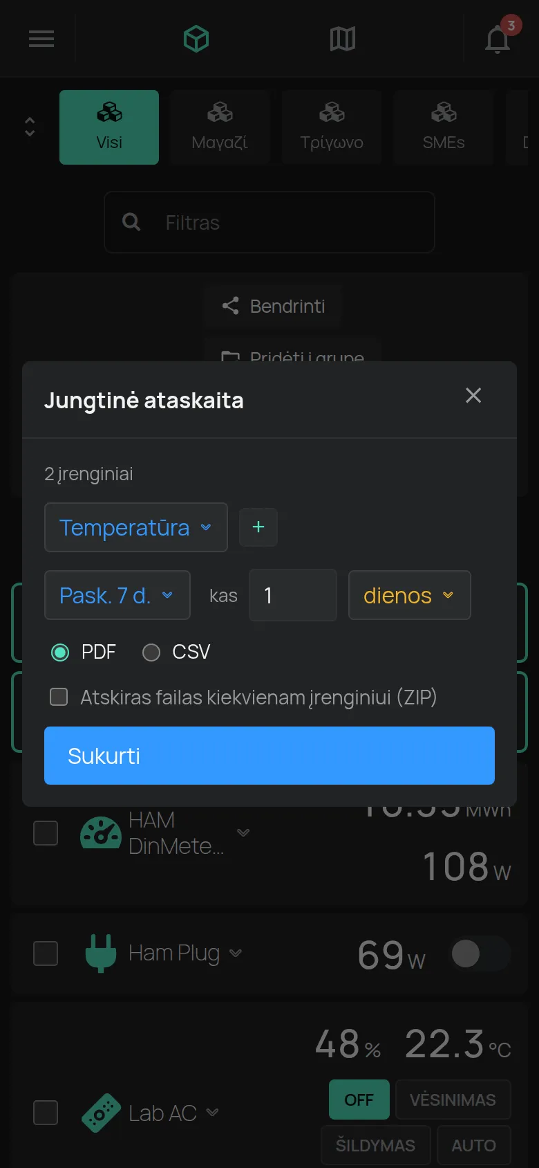 Langas Jungtinė ataskaita