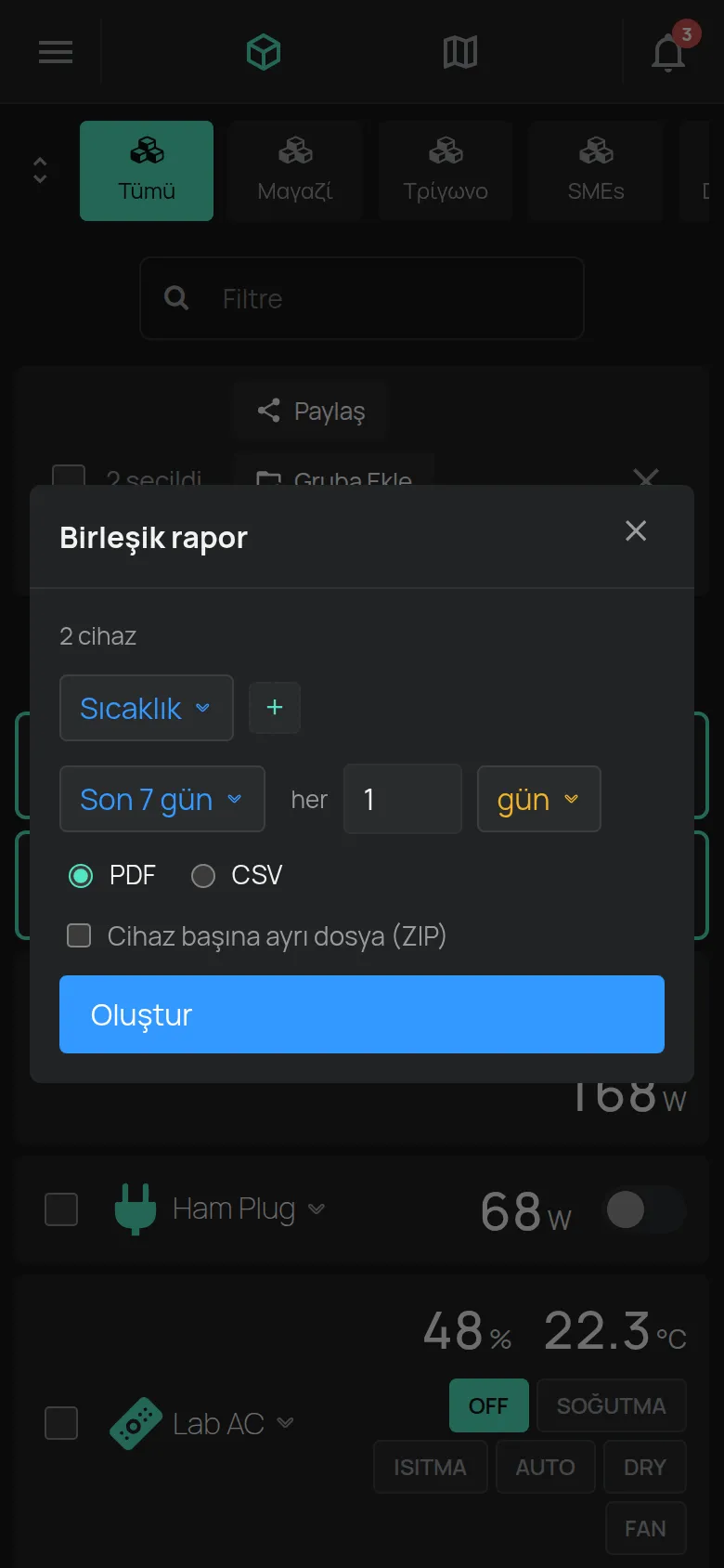 Birleşik rapor penceresi